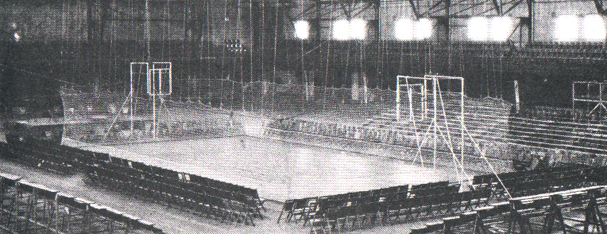 Basketball Cage