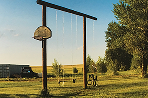 Swings