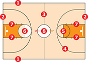 Court Lines