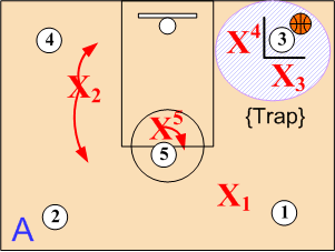 X1 - Mid Court Line